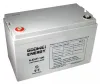 Akumulator zapasowy trakcyjny GOOWEI ENERGY Pb VRLA GEL 12V 100Ah (6-EVF-100)