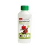 Maxxo BIO katlakivieemaldusvahend 250ml