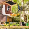 TRX Innotronik IEN-BC69B Security Smart Wi-Fi Solar Bird Feeder with 2MP Camera and Li-ion Batteries thumbnail (3 of 9)