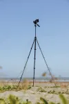 Статив Rollei Compact Creator 26930 за мобилни телефони и камери thumbnail (21 of 21)