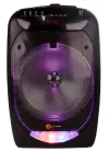 N-GEAR FLASH THE FLASH 1210 BT altoparlante 300W USB MICRO SD DO 2x MIC