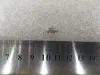 T cnó 6-M5 thumbnail (3 of 3)