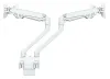 Neomounts FPMA-D750DWHITE2 Stationär displayhållare 10-32" VESA-klämma 100X100 lastkapacitet 2x8kg gaskolv 2 displayer vit thumbnail (3 of 6)