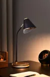 IMMAX LED table lamp FINCH Qi charging 9W 12V 2A dimmable brown + gold elements thumbnail (11 of 12)