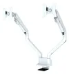 Neomounts FPMA-D750DWHITE2 Stationär displayhållare 10-32" VESA-klämma 100X100 lastkapacitet 2x8kg gaskolv 2 displayer vit thumbnail (2 of 6)