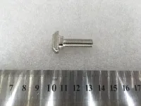 T bolt 10-M8-30 (1 of 1)
