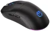 Endorfy miška GEM Plus Wireless PAW3395 Khail GM 8.0 brezžična črna