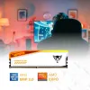 PATRIOT VIPER ELITE 5 TUF GAMING RGB HS 48 Go DDR5 6000MT avec DIMM CL36 1,35 V Kit 2x 24 Go thumbnail (6 of 10)