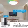 IMMAX NEO LITE TUDO SMART ceiling light RGB backlight 60cm 65W with support for BEACON Wi-Fi TUYA white thumbnail (6 of 10)