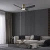 IMMAX NEO LITE PURE SMART LED ceiling light with fan 24W Wi-Fi TUYA black-silver thumbnail (5 of 7)