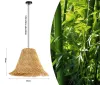 Κρεμαστό φωτιστικό IMMAX BOHO NATURALEZA σχεδιαστή D45cm E27 φυσικό μπαστούνι thumbnail (3 of 8)