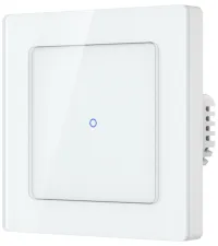 IMMAX NEO SMART switch Nexa 1-button Wi-Fi 230V TUYA (1 of 9)