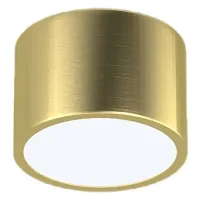 IMMAX NEO RONDATE SMART laevalgusti 15cm 12W kuldne Zigbee 3.0 TUYA (1 of 2)