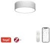 Plafoniera IMMAX NEO RONDATE SLIM SMART 25 x 7cm 18W Zigbee 3.0 TUYA bianco