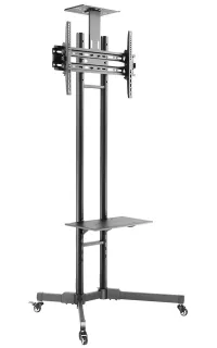 Neomounts PLASMA-M1700E Mobil fladskærmsgulvstativ (højde: 154-170 cm) Sort Neomounts PLASMA-M1700E Mobil fladskærmsgulvstativ (højde: 154-170 cm) Sort (1 of 5)