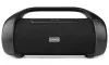 Altoparlante per feste NEDIS 2.0 potenza 120 W Bluetooth 5.0 AUX USB-C USB-A jack da 35 mm 1x 635 mm IPX5 ABS nero