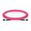 Cavo XtendLan FO patch MPO(f)-MPO(f) 5m OM4 12 12 rotondo crossover da 3 mm (Tipo B) Cavo XtendLan FO patch MPO(f)-MPO(f) 5m OM4 12 12 rotondo crossover da 3 mm (Tipo B)