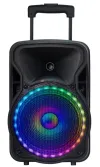 N-GEAR FLASH THE FLASH 1205 BT speaker 300W USB MICRO SD DO 2x MIC