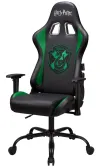 Harry Potteri mänguiste HP Slytherini jaoks thumbnail (2 of 7)