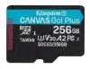 Карта пам'яті Kingston microSDXC Canvas Go Plus Gen4 A2 U3 V30 256 ГБ + ADP Карта пам'яті Kingston microSDXC Canvas Go Plus Gen4 A2 U3 V30 256 ГБ + ADP