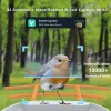 TRX Innotronik IEN-BC69B Security Smart Wi-Fi Solar Bird Feeder with 2MP Camera and Li-ion Batteries thumbnail (6 of 9)