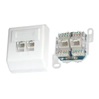 XtendLan 2x RJ-45 Cat5e unshielded wall outlet angled LSA push-in outlet XtendLan 2x RJ-45 Cat5e unshielded wall outlet angled LSA push-in outlet (1 of 1)