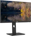 DAHUA 24" LED LM24-P301A Panel IPS 2560x1440 (QHD) 1000:1 6ms 320 cd m2 HDMI DP USB-C PIVOT VESA 75x75 czarny