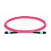Cavo XtendLan FO patch MPO(f)-MPO(f) 2m OM4 12 12 rotondo crossover da 3 mm (Tipo B) Cavo XtendLan FO patch MPO(f)-MPO(f) 2m OM4 12 12 rotondo crossover da 3 mm (Tipo B)