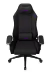 LORGAR CHA41 Ergonomic Gaming Chair Advanced premium anti-stain fabric Black pur