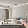 IMMAX NEO LITE RONDATES SMART φωτιστικό οροφής 115cm 18W 1458lm με υποστήριξη BEACON Wi-Fi TUYA μαύρο thumbnail (2 of 5)