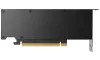 PNY NVIDIA RTX 4000 SFF Ada Generacja 20 GB GDDR6 PCI-E 4x miniDP thumbnail (3 of 4)