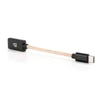 iFi Typ-C OTG-kabel iFi Typ-C OTG-kabel (1 of 1)