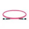 Cavo patch XtendLan FO MPO(f)-MPO(f) 1m OM4 12 12 rotondo crossover da 3 mm (Tipo B) Cavo patch XtendLan FO MPO(f)-MPO(f) 1m OM4 12 12 rotondo crossover da 3 mm (Tipo B)