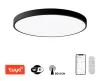 Φωτιστικό οροφής IMMAX NEO LITE SEMPLICI SMART 60cm 60W 4500 lm με υποστήριξη BEACON Wi-Fi TUYA μαύρο thumbnail (2 of 6)