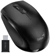 GENIUS NX-8006S Type-C 1200 dpi USB-C brezžično tiho črna