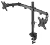 Neomounts FPMA-D550DBLACK Supporto display da tavolo 10-32" Morsetto VESA 100X100 capacità di carico 2x 8kg 2 display nero thumbnail (4 of 7)