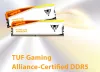 PATRIOT VIPER ELITE 5 TUF GAMING RGB HS 48 Go DDR5 6000MT avec DIMM CL36 1,35 V Kit 2x 24 Go thumbnail (9 of 10)