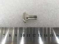 T bolt 10-M8-20 (1 of 1)