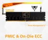 PATRIOT VIPER ELITE 5 TUF GAMING RGB HS 48 Go DDR5 6000MT avec DIMM CL36 1,35 V Kit 2x 24 Go thumbnail (10 of 10)