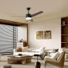 IMMAX NEO LITE VARIABLE SMART LED plafondlamp met ventilator 24W Wi-Fi TUYA zwart-bruin-zilver thumbnail (3 of 7)