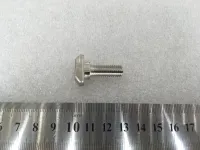 T bolt 10-M8-25 (1 of 1)